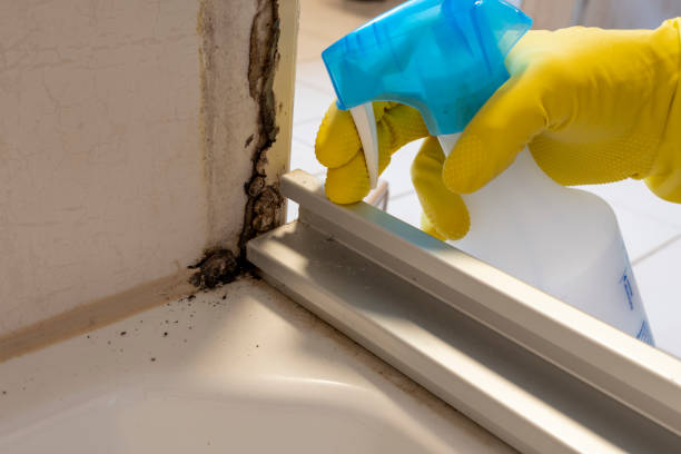 Best Industrial Mold Remediation in Fox Farm College, WY