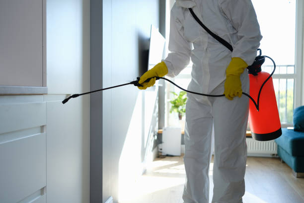 Best Post-Remediation Services in Fox Farm College, WY