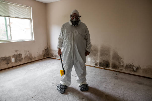 Reliable Fox Farm College, WY Mold Remediation Solutions